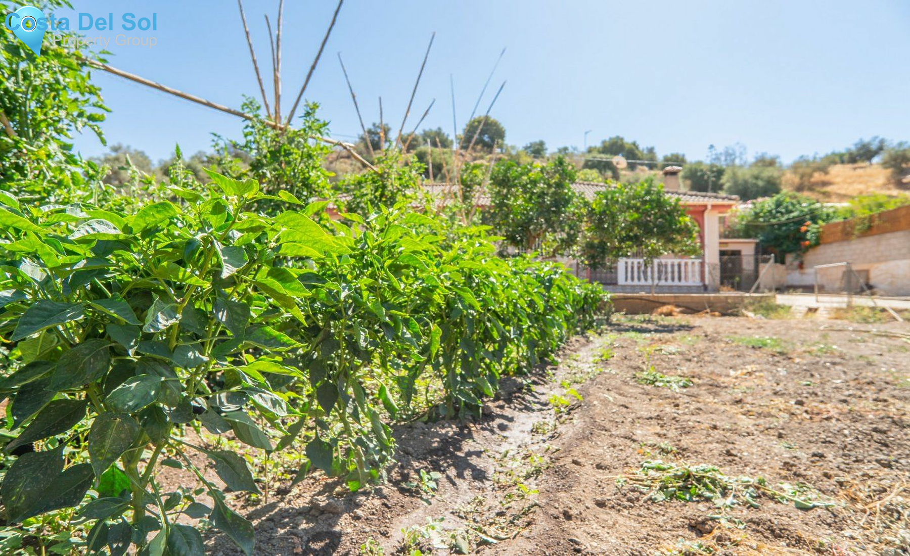 Finca - Cortijo in Rincón de la Victoria-1465086