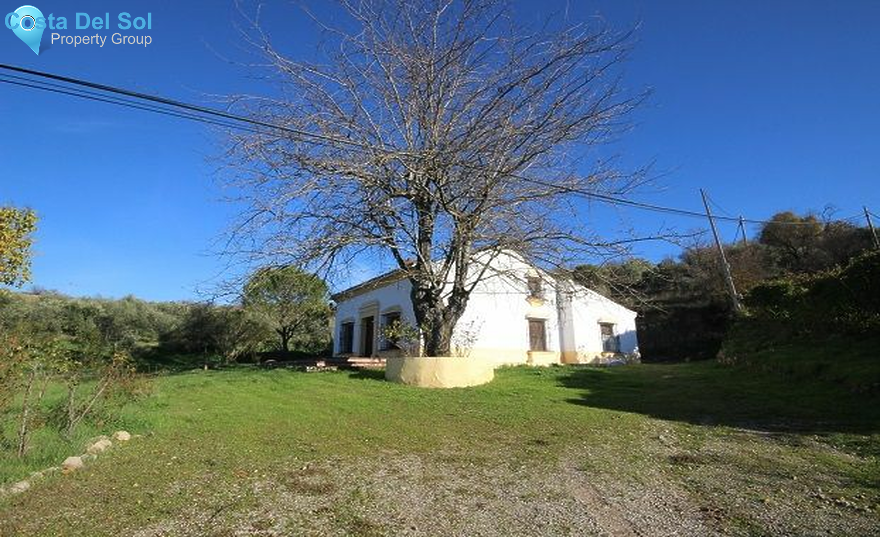 Finca - Cortijo in Ronda-1154509