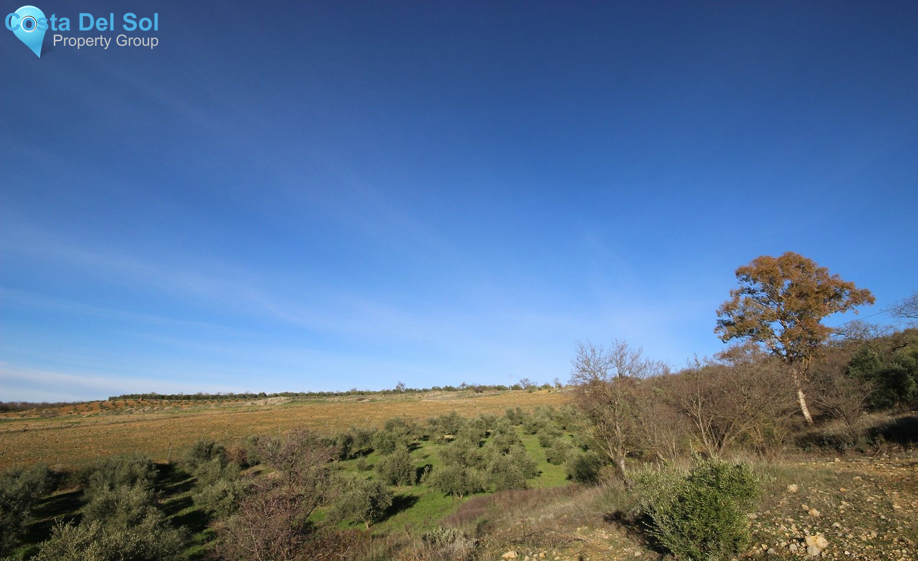 Finca - Cortijo in Ronda-1154527
