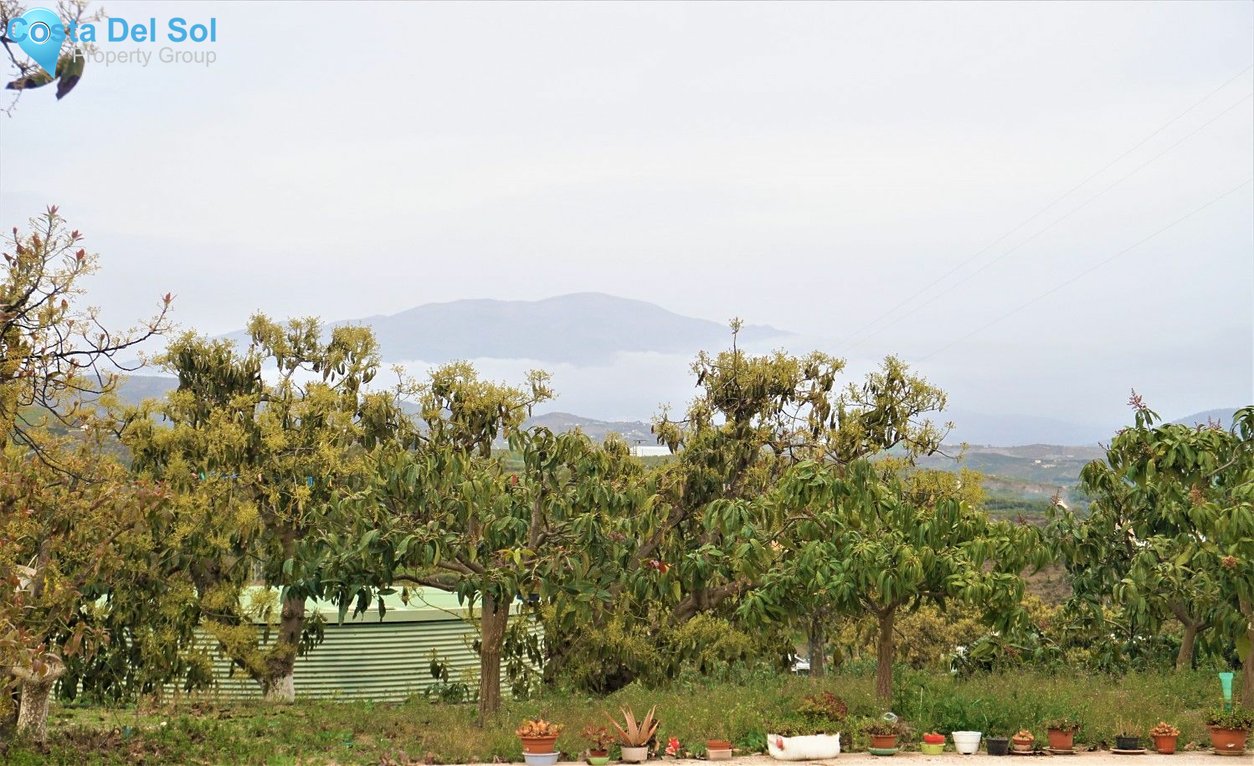 Finca - Cortijo in Vélez-Málaga-1534879
