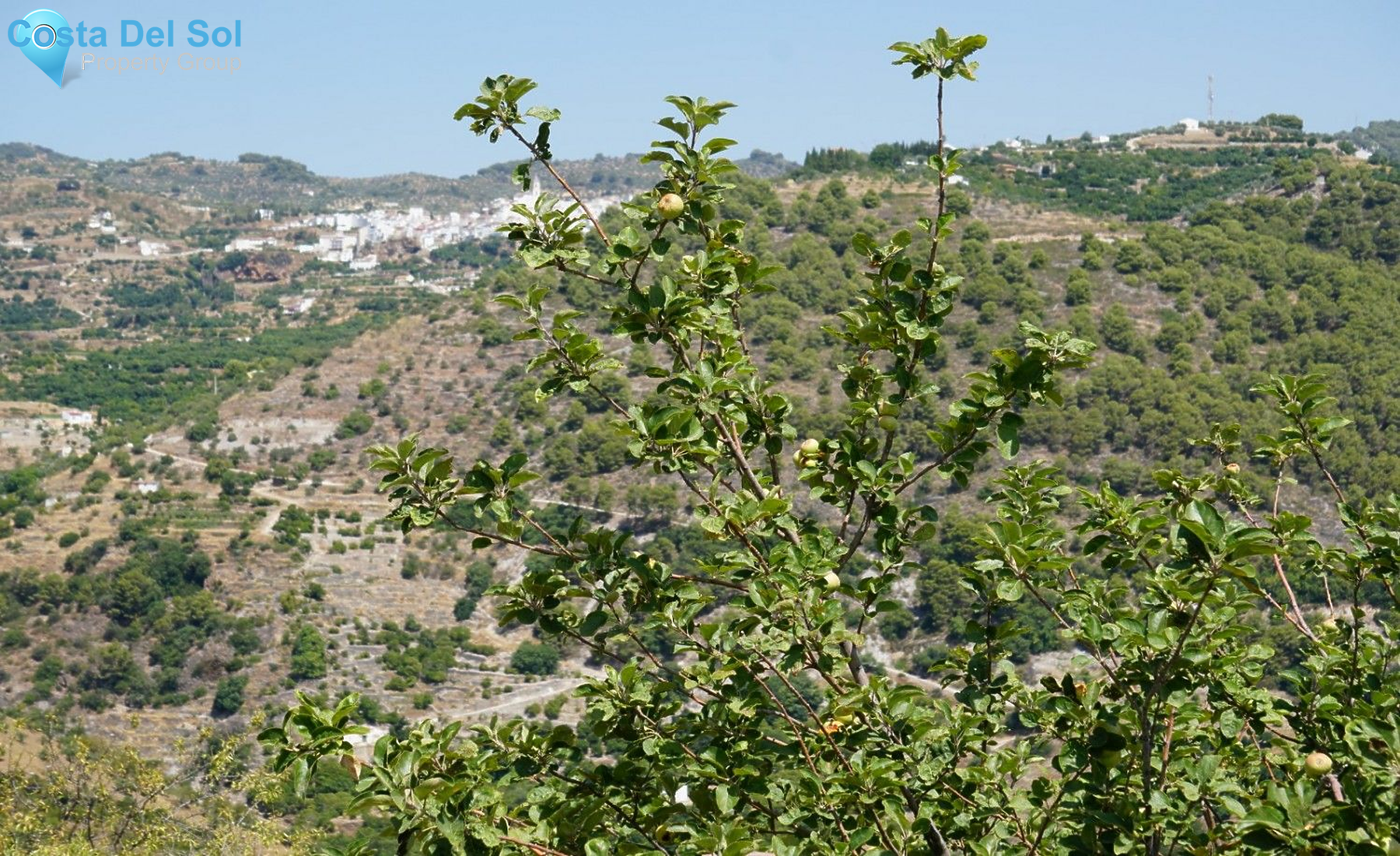 Finca - Cortijo in Yunquera-1231074