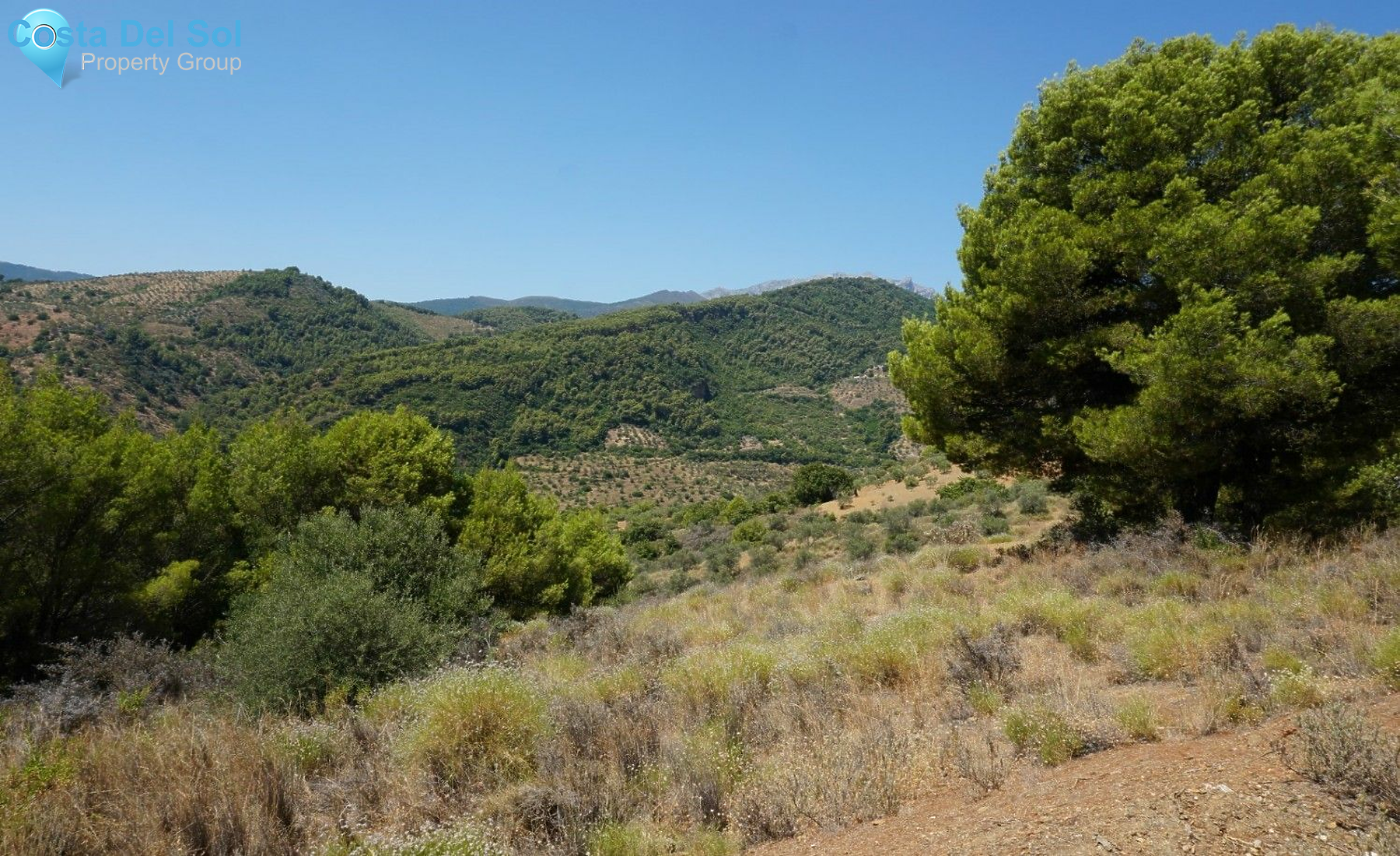 Finca - Cortijo in Yunquera-1231078