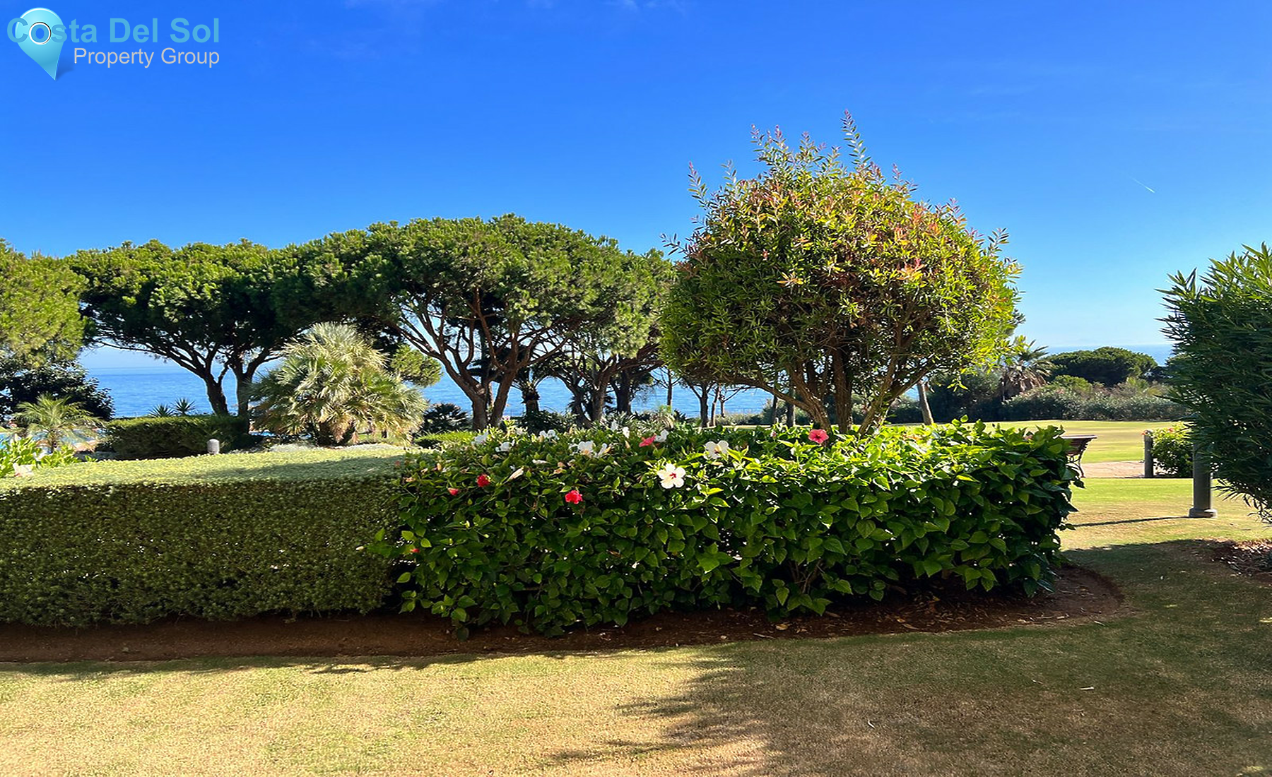 Ground Floor Apartment in Cabopino-1560941