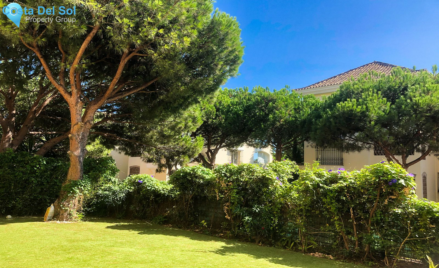 Ground Floor Apartment in Elviria