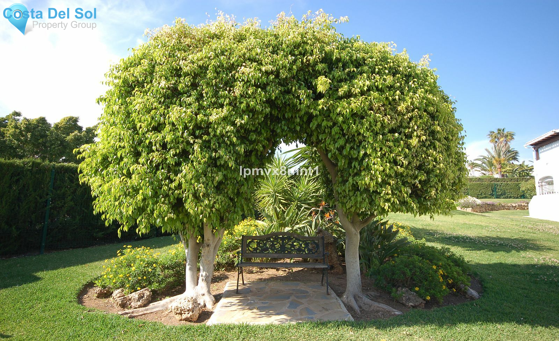 Ground Floor Apartment in Elviria-1417339