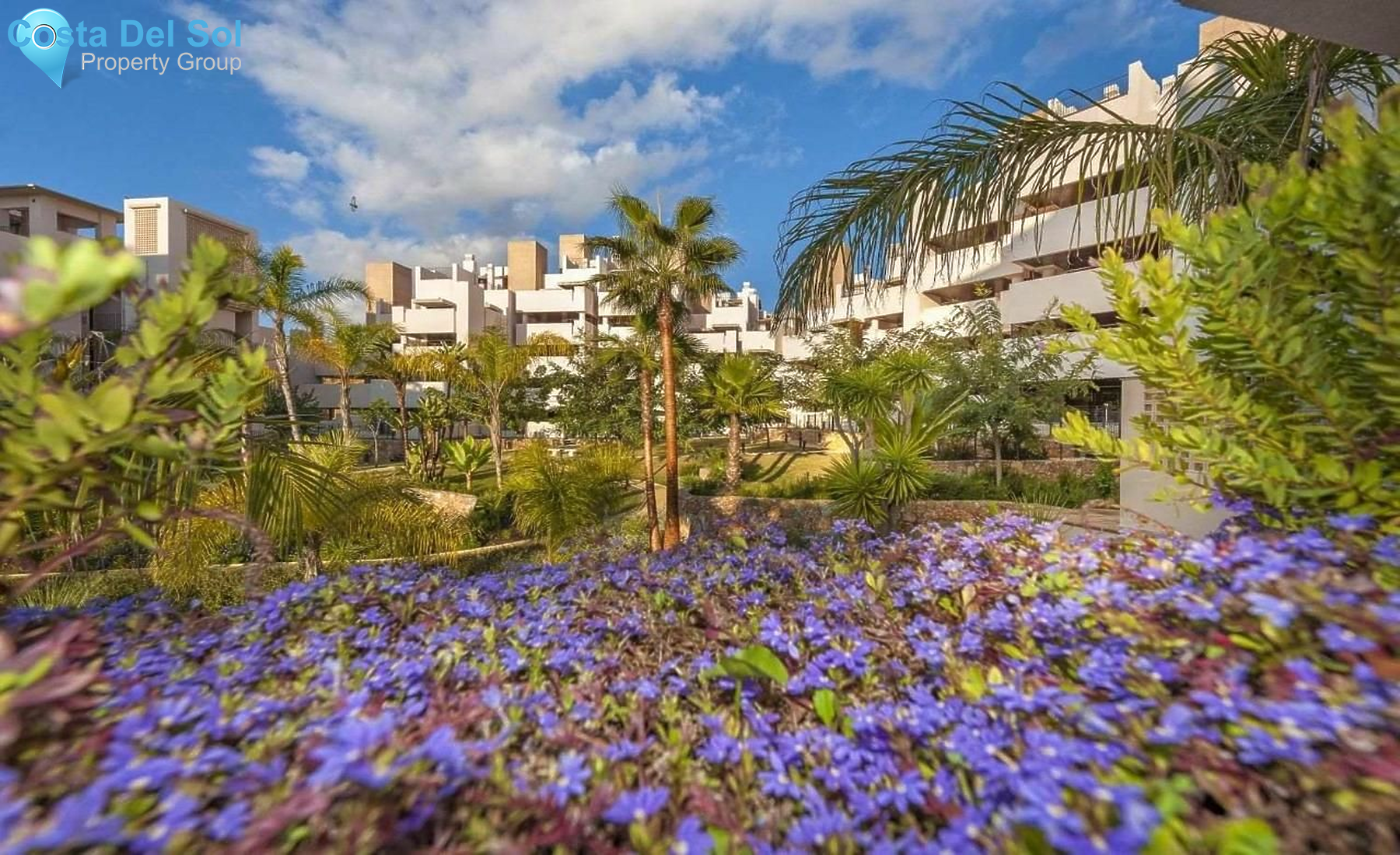 Ground Floor Apartment in Estepona-1145247
