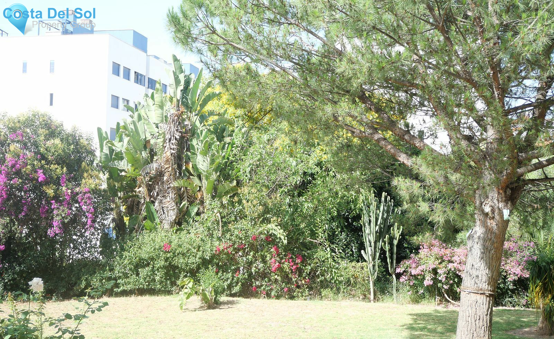 Ground Floor Apartment in Estepona-1388772