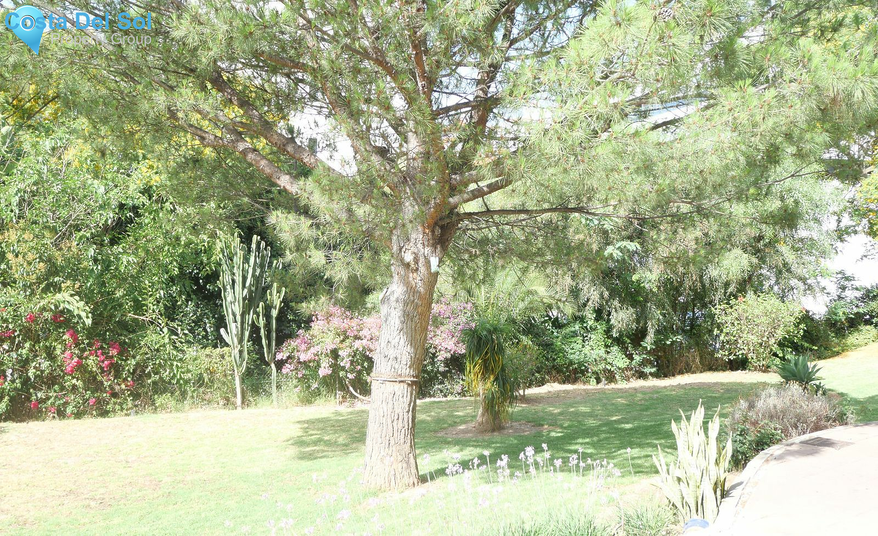 Ground Floor Apartment in Estepona-1388773