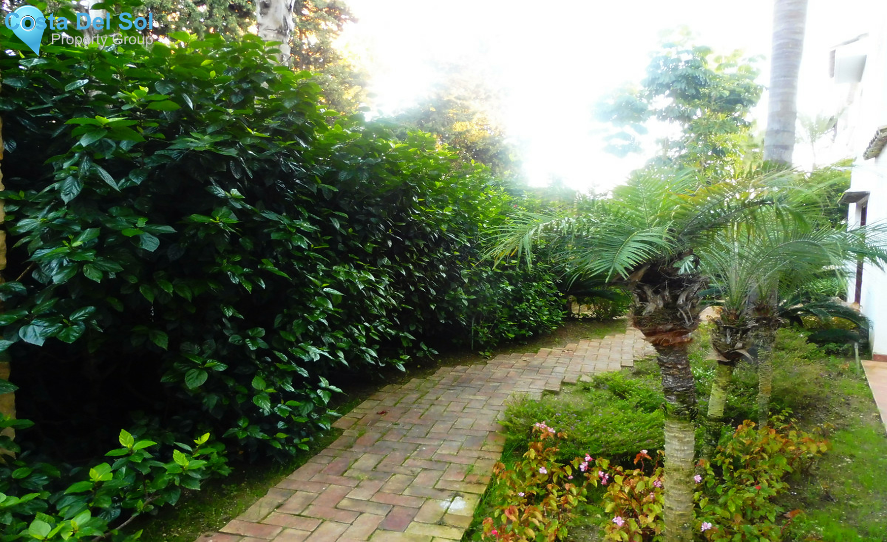 Ground Floor Apartment in Marbella-1304182