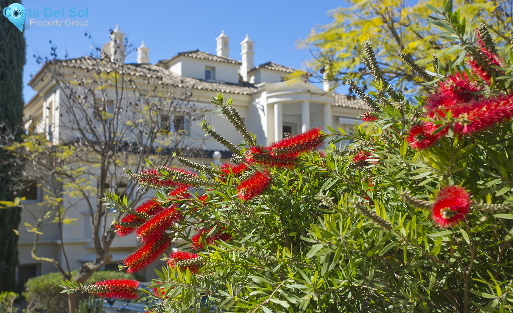 Ground Floor Apartment in Nueva Andalucía-1295599