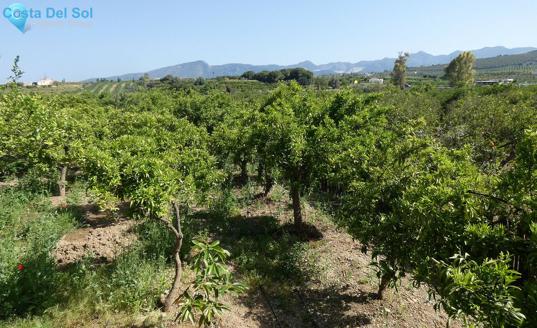 House in Alhaurín de la Torre