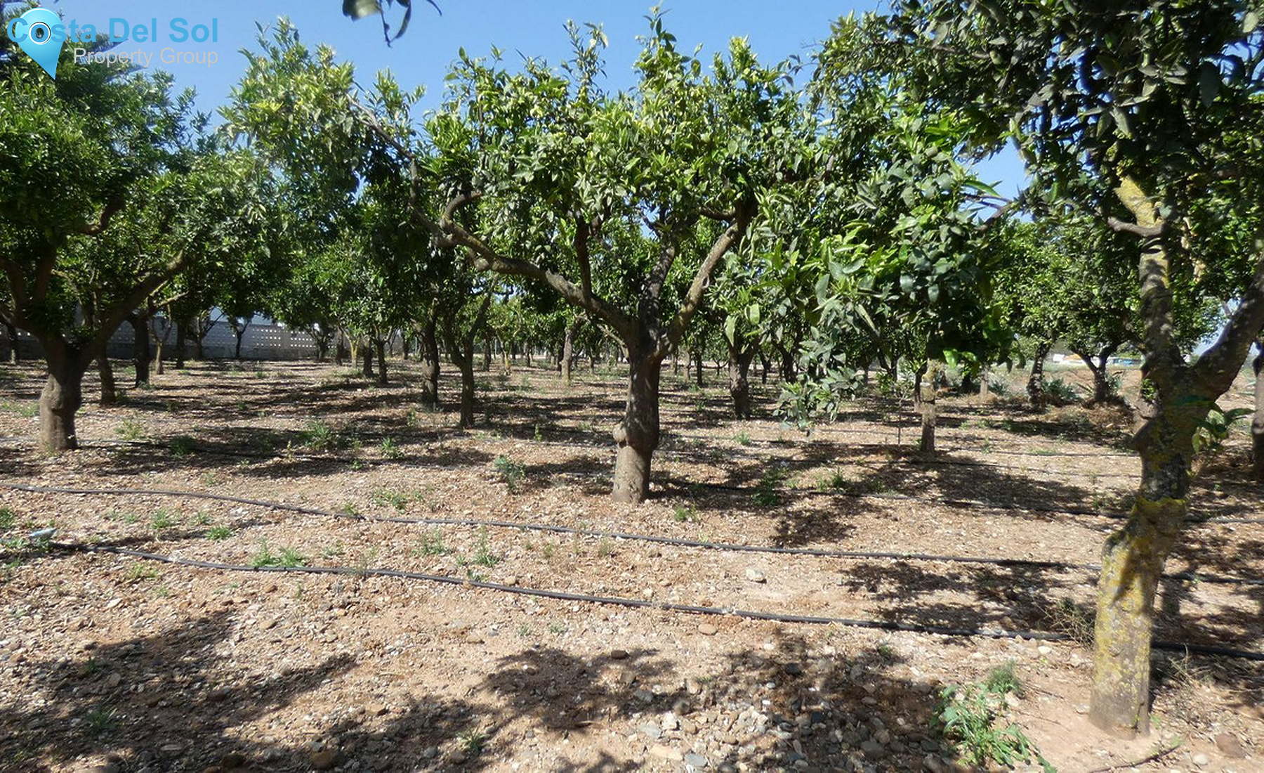 House in Alhaurín de la Torre-1370139