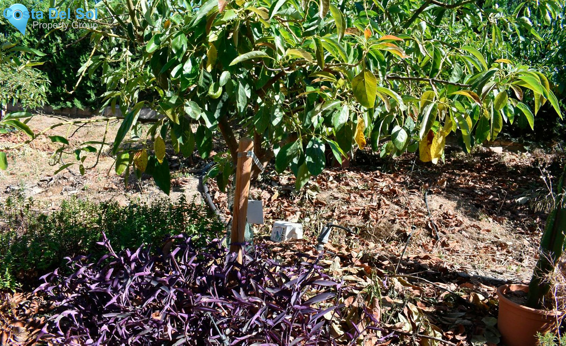 House in Alhaurín el Grande-1261336
