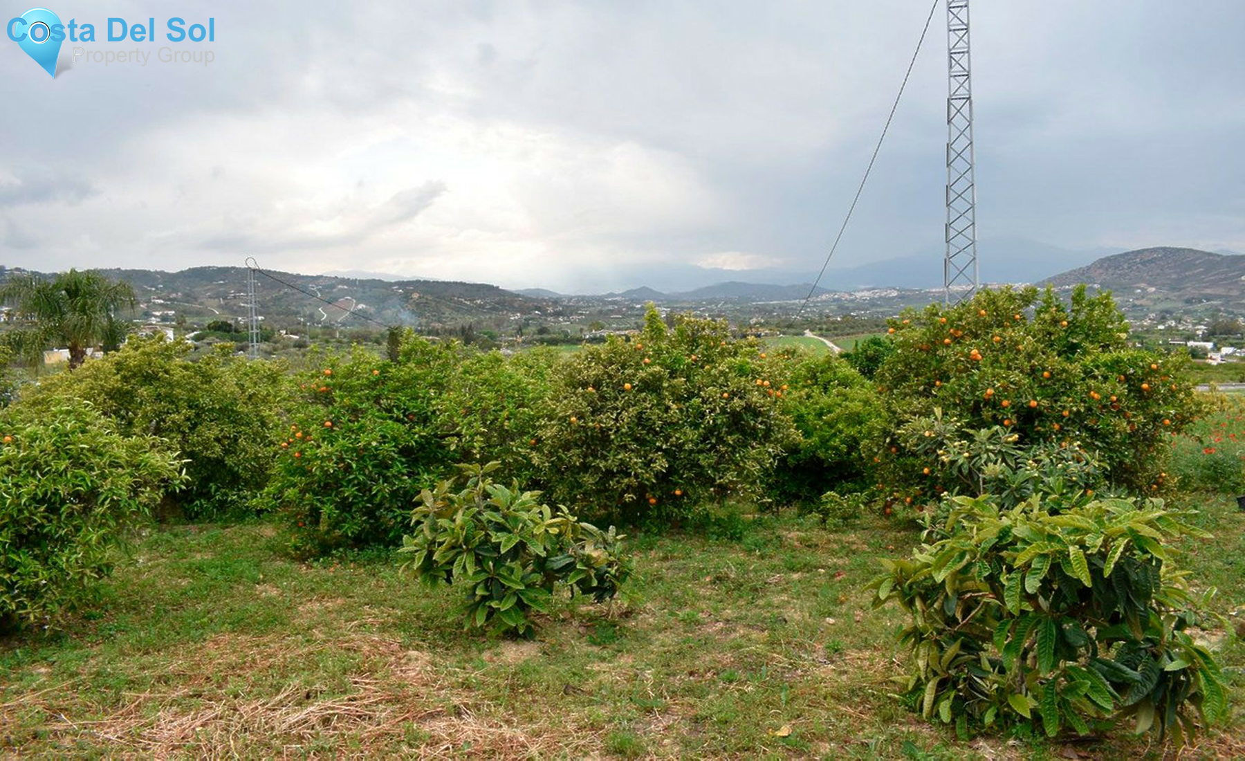 House in Alhaurín el Grande