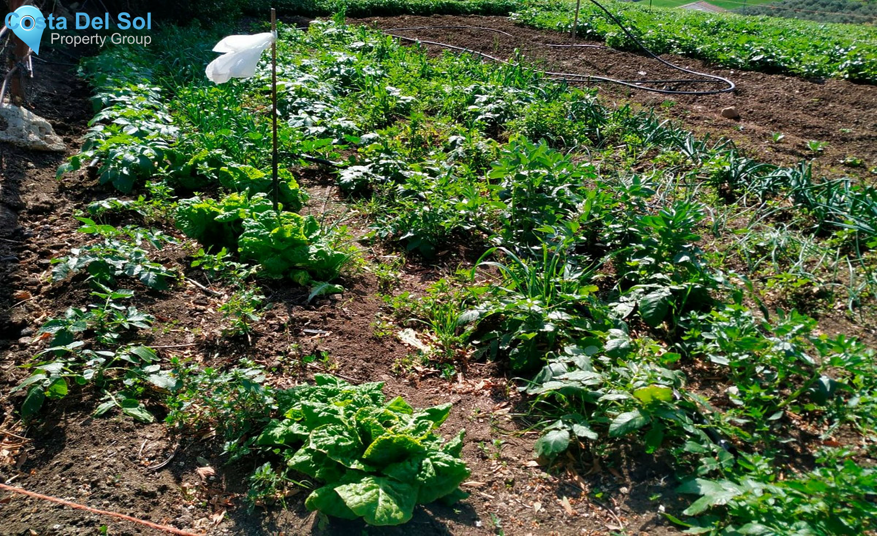 House in Alora-1281886