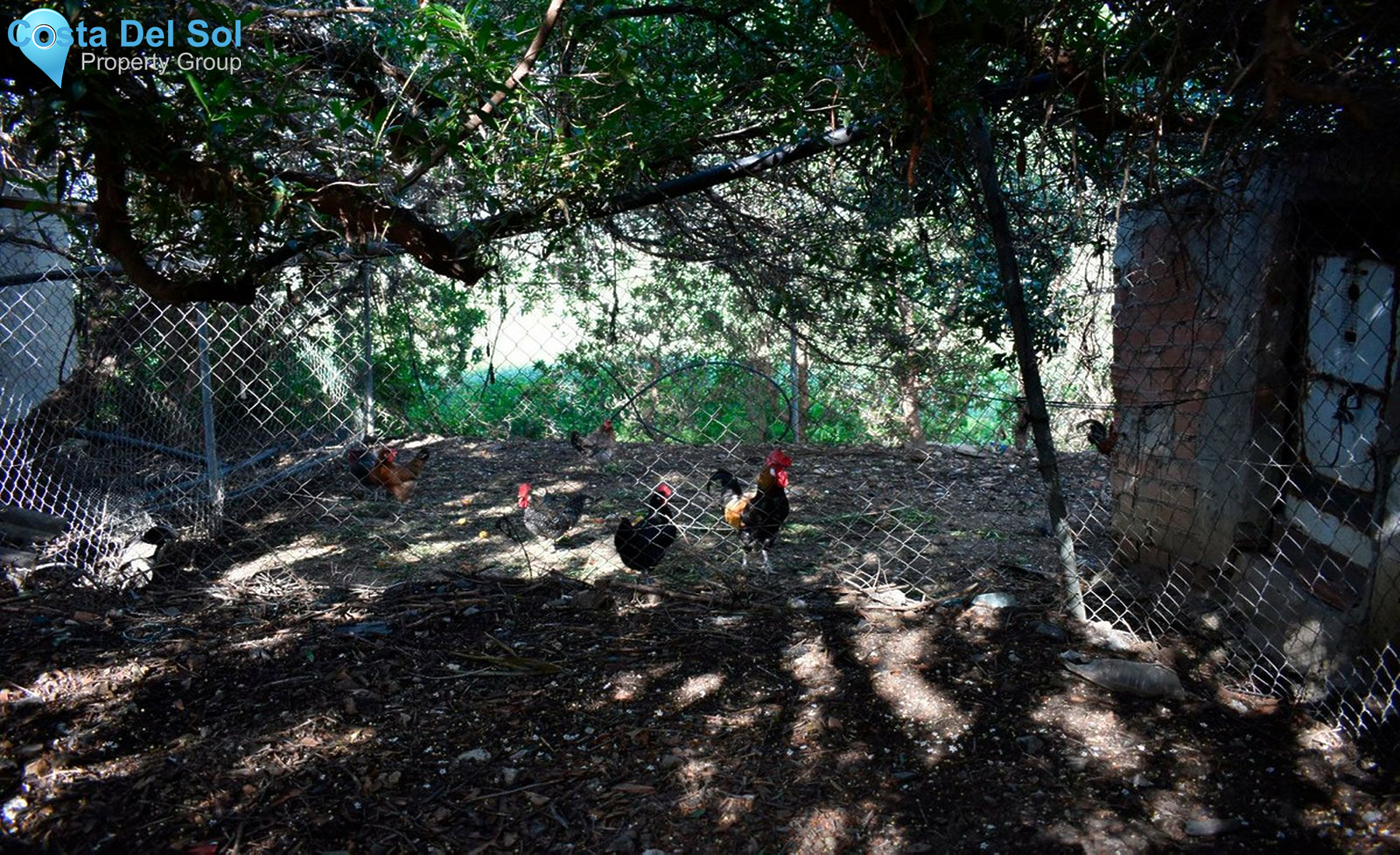 House in Alora-1281887