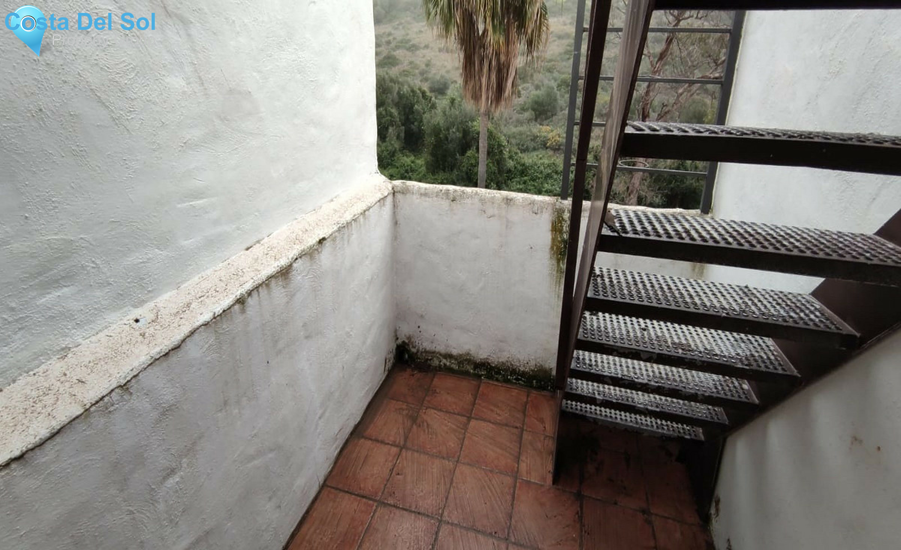 House in Casares-1368413