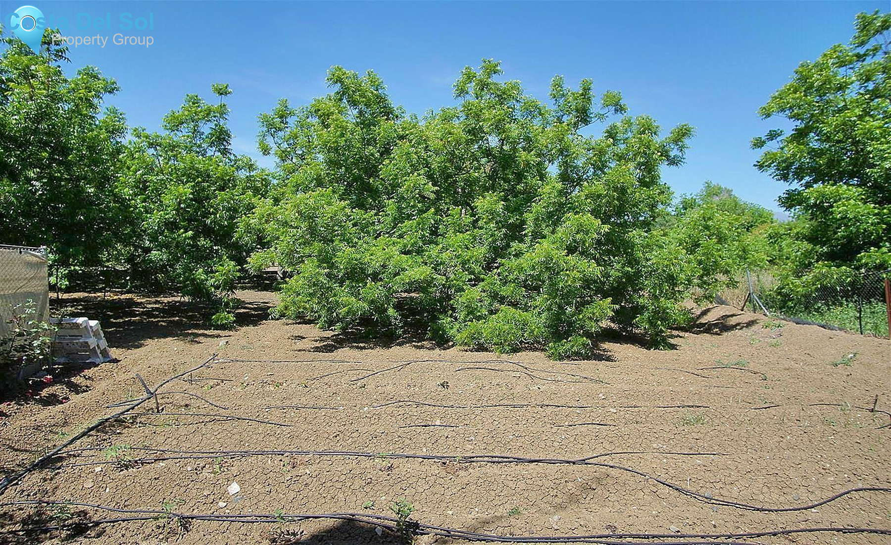 House in Coín-1259366
