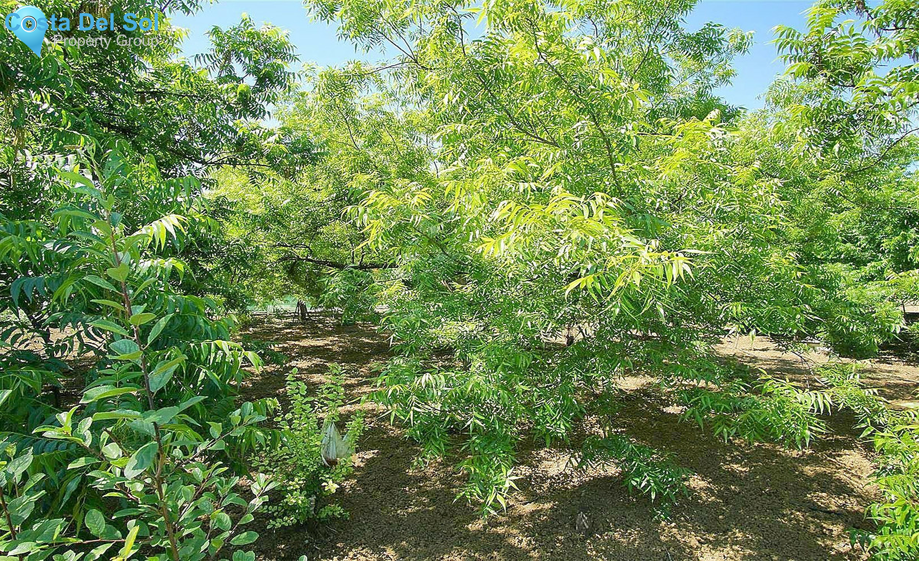 House in Coín-1259368