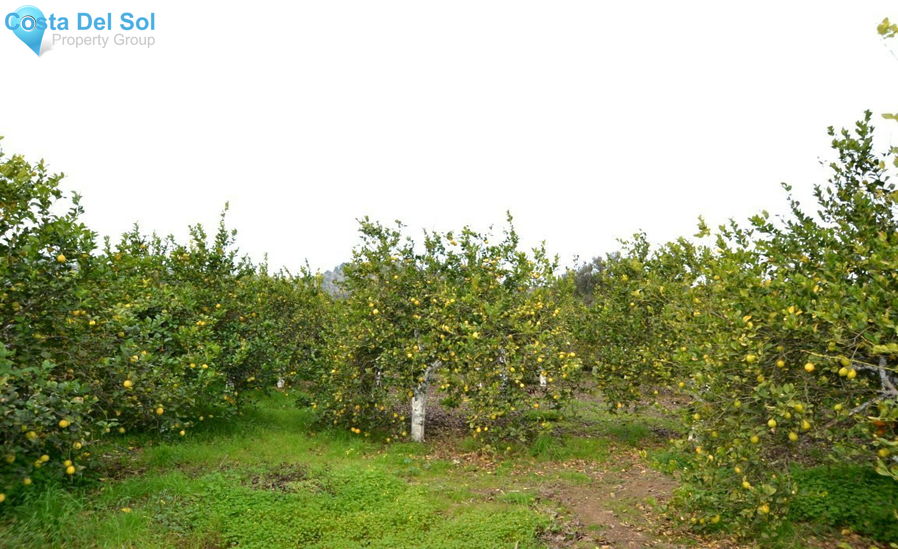 House in Coín-1374823