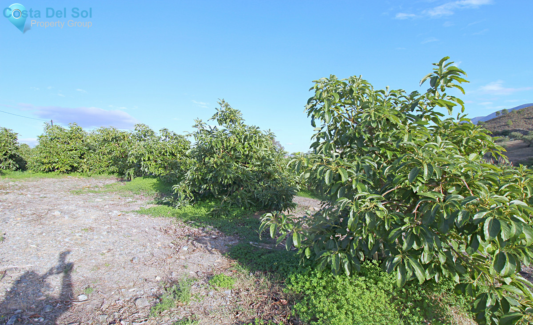 House in Coín-1476902