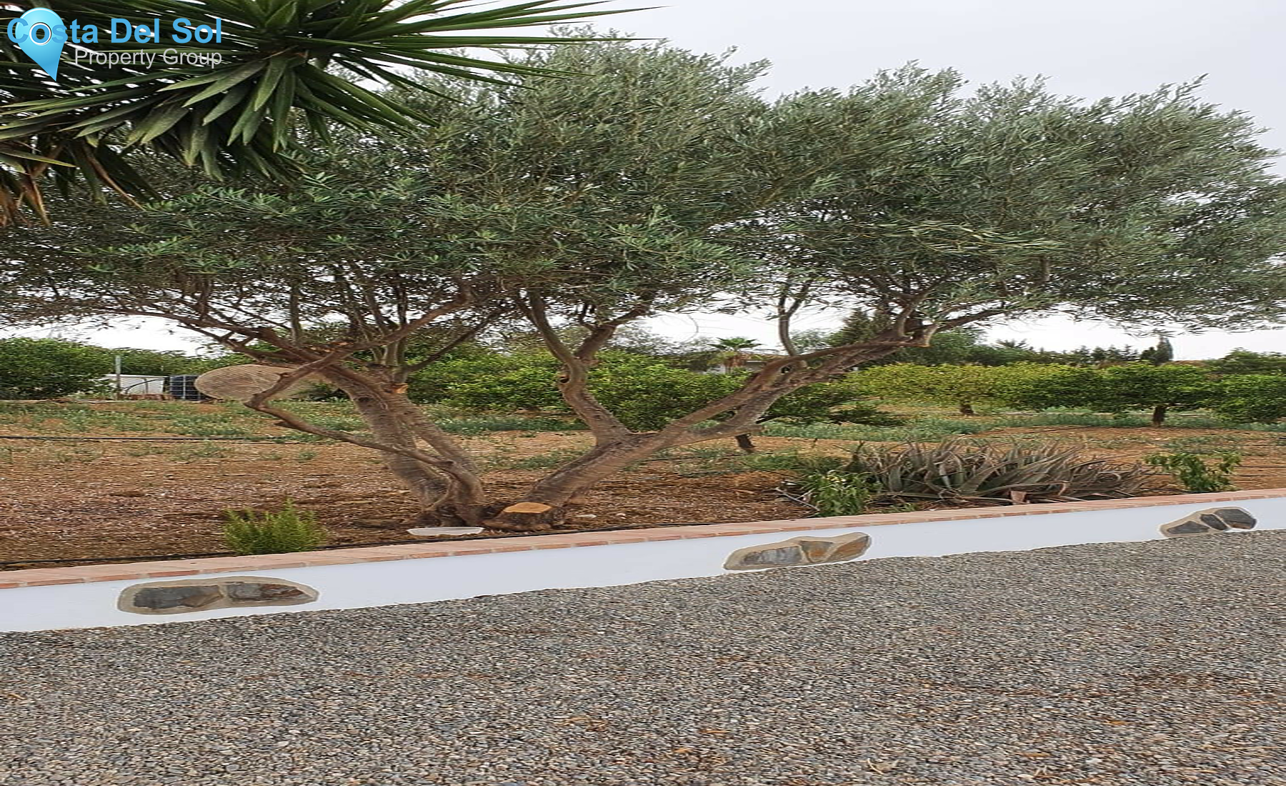 House in Coín-1500784