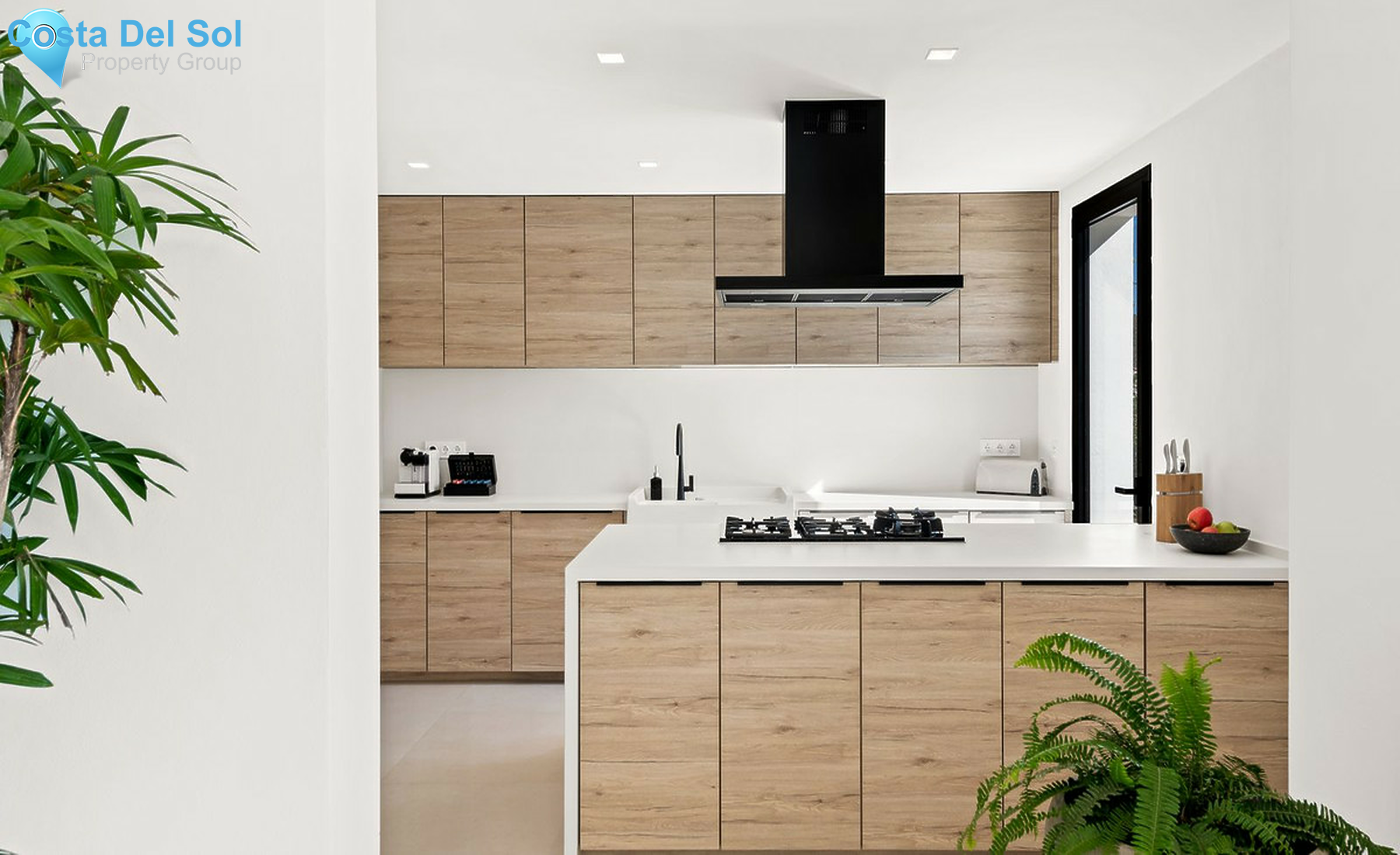 House in El Chaparral-1499796