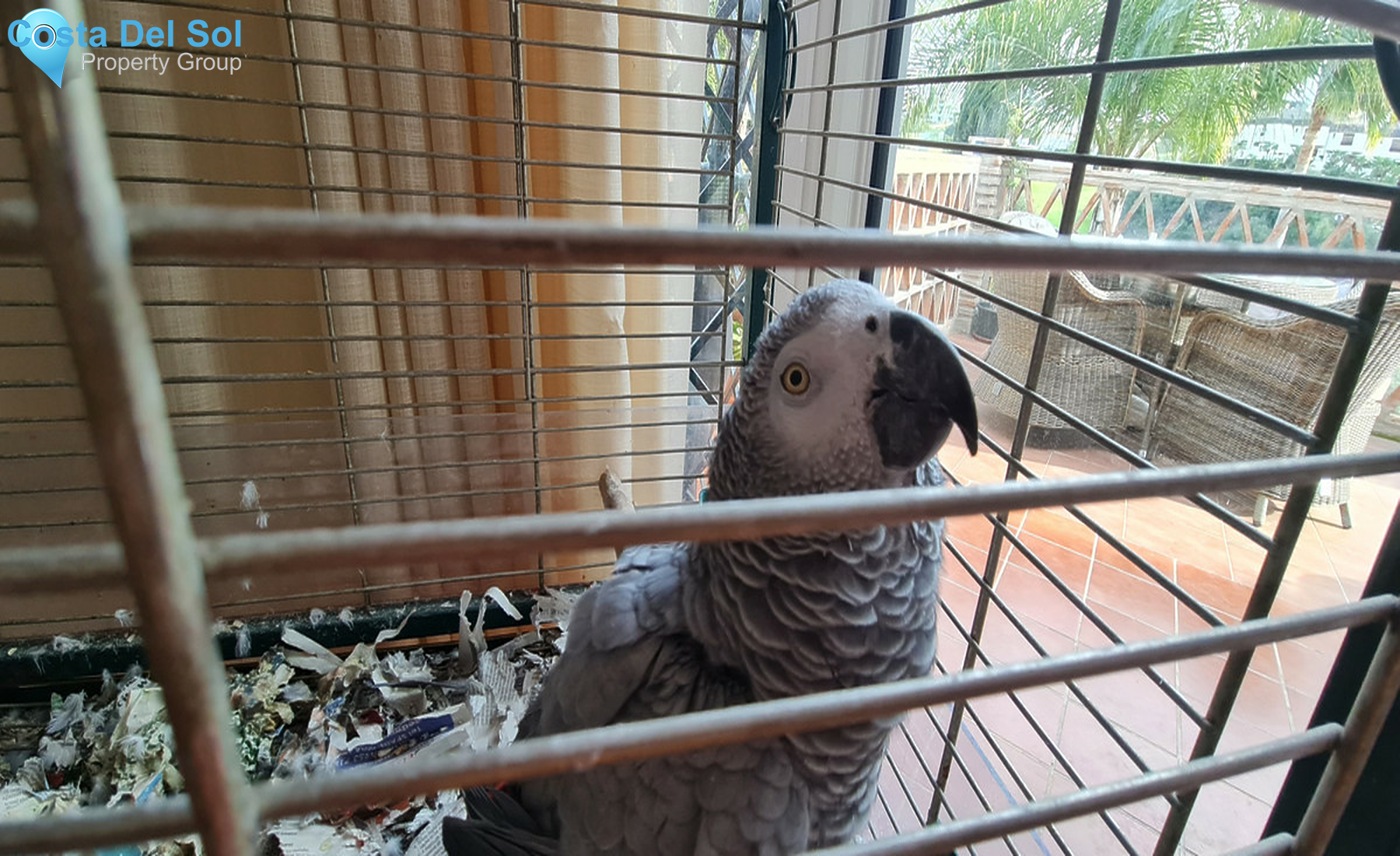 House in Mijas Costa-1308710