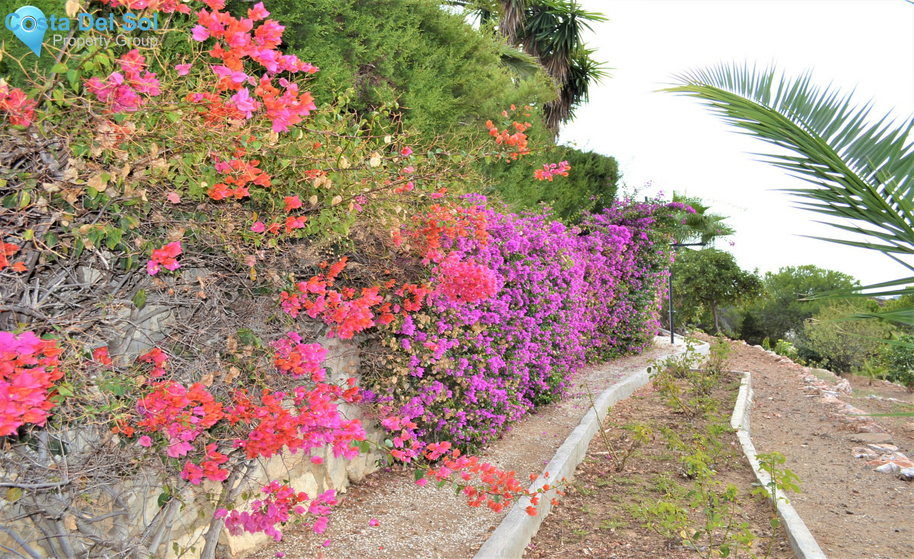 House in Mijas-1291096