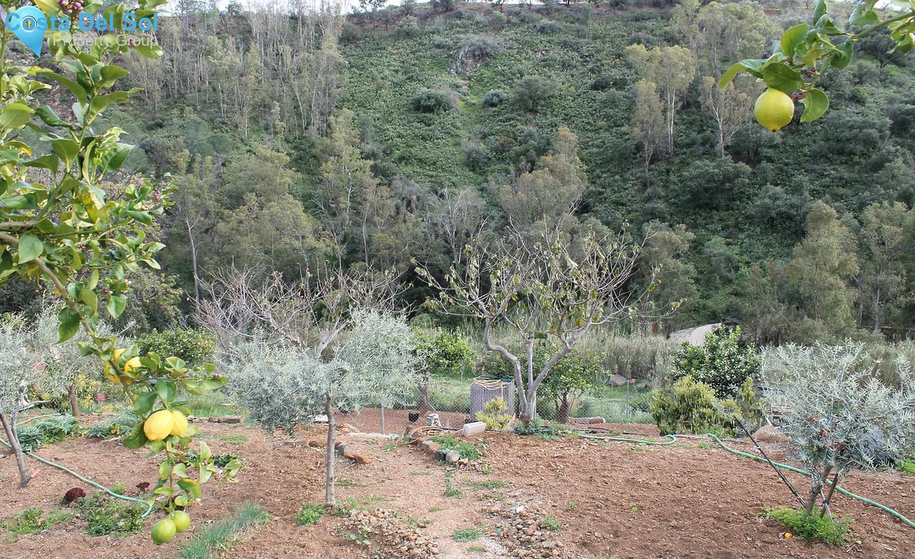 House in Mijas-1371372