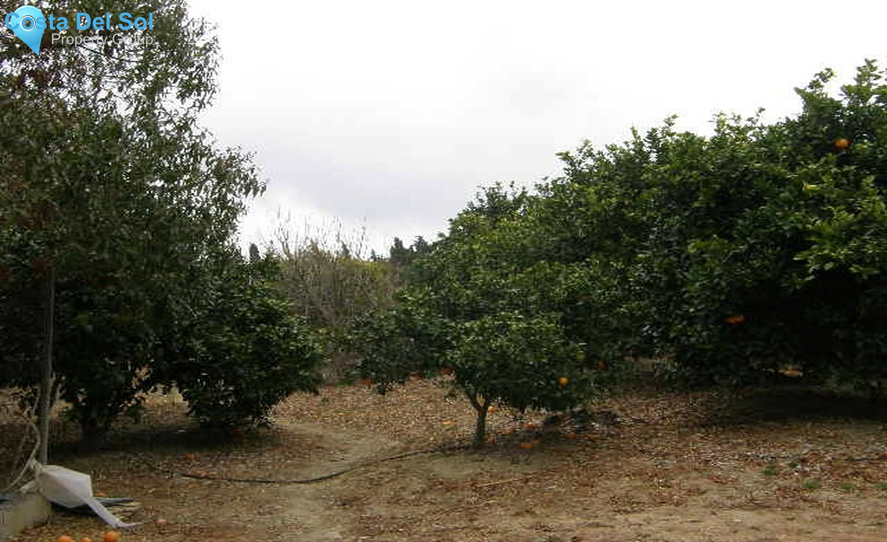 House in San Martín de Tesorillo-1558983