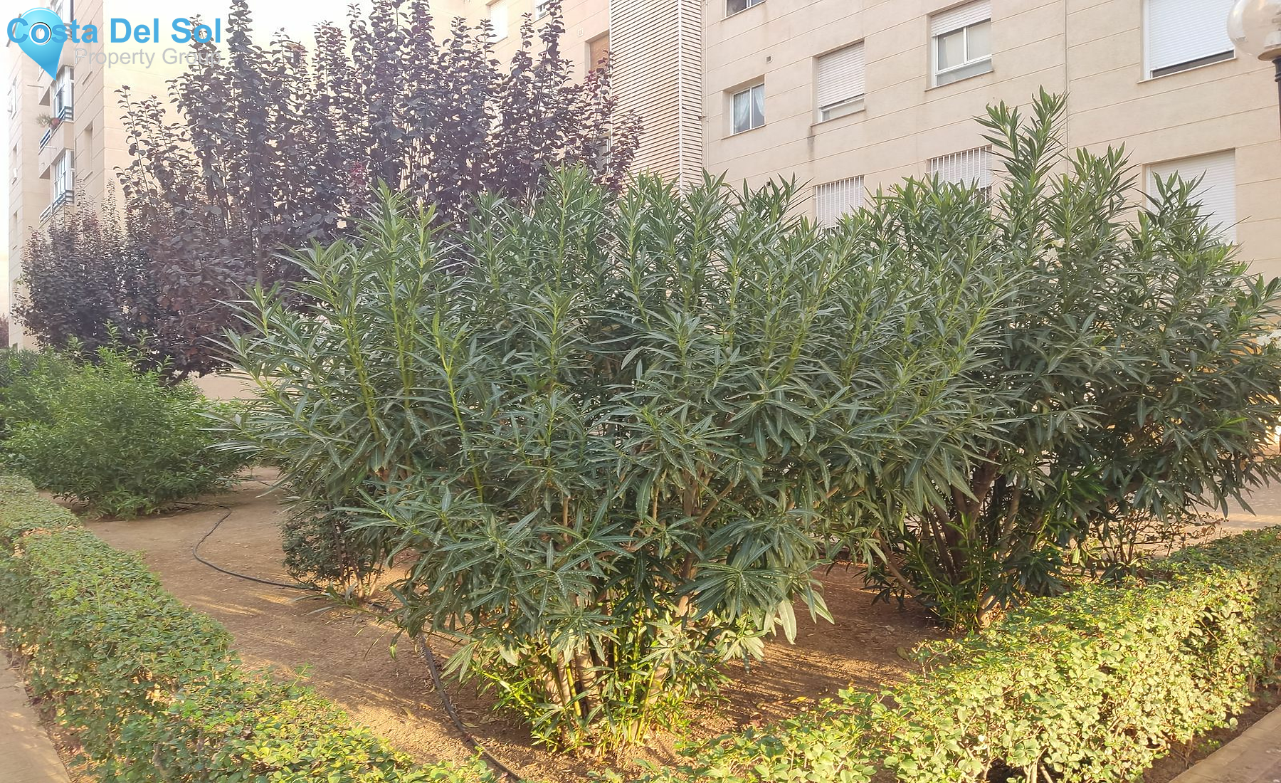 Middle Floor Apartment in Antequera-1472601