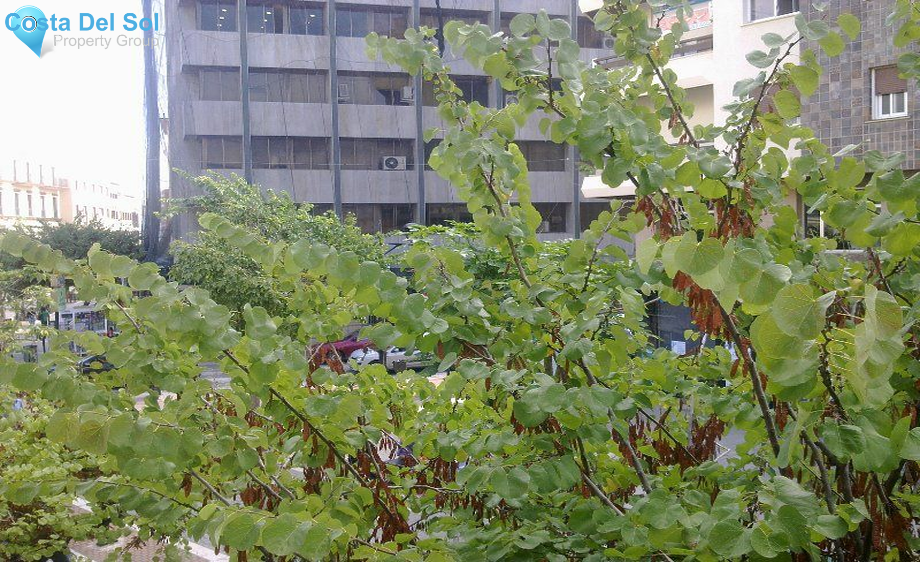 Middle Floor Apartment in Estepona-1398238