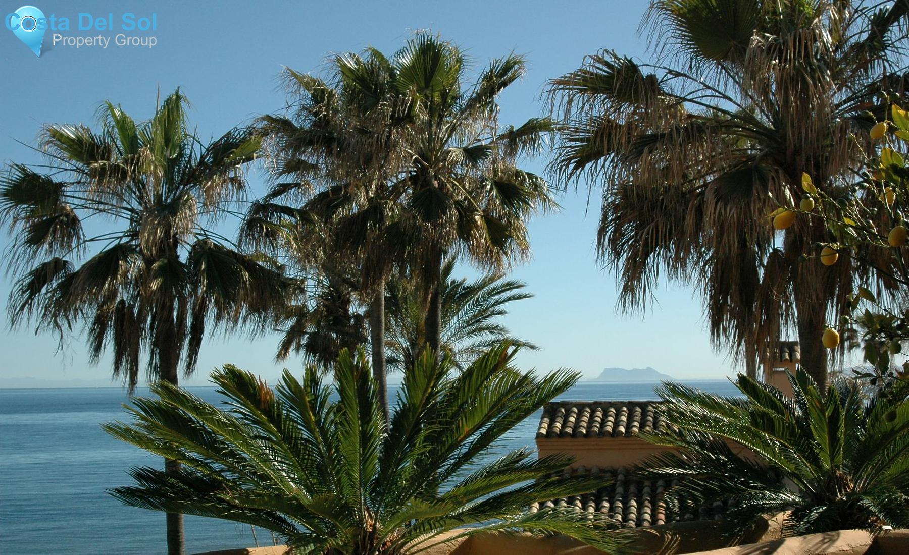 Middle Floor Apartment in New Golden Mile-1206003