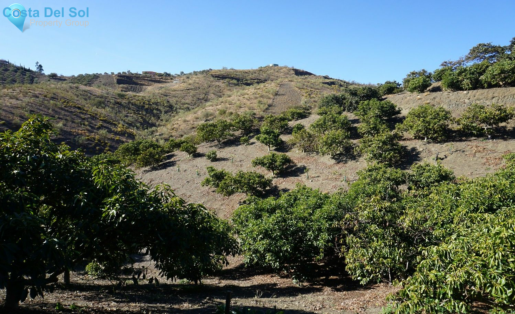 Finca - Cortijo in La Viñuela-1224898