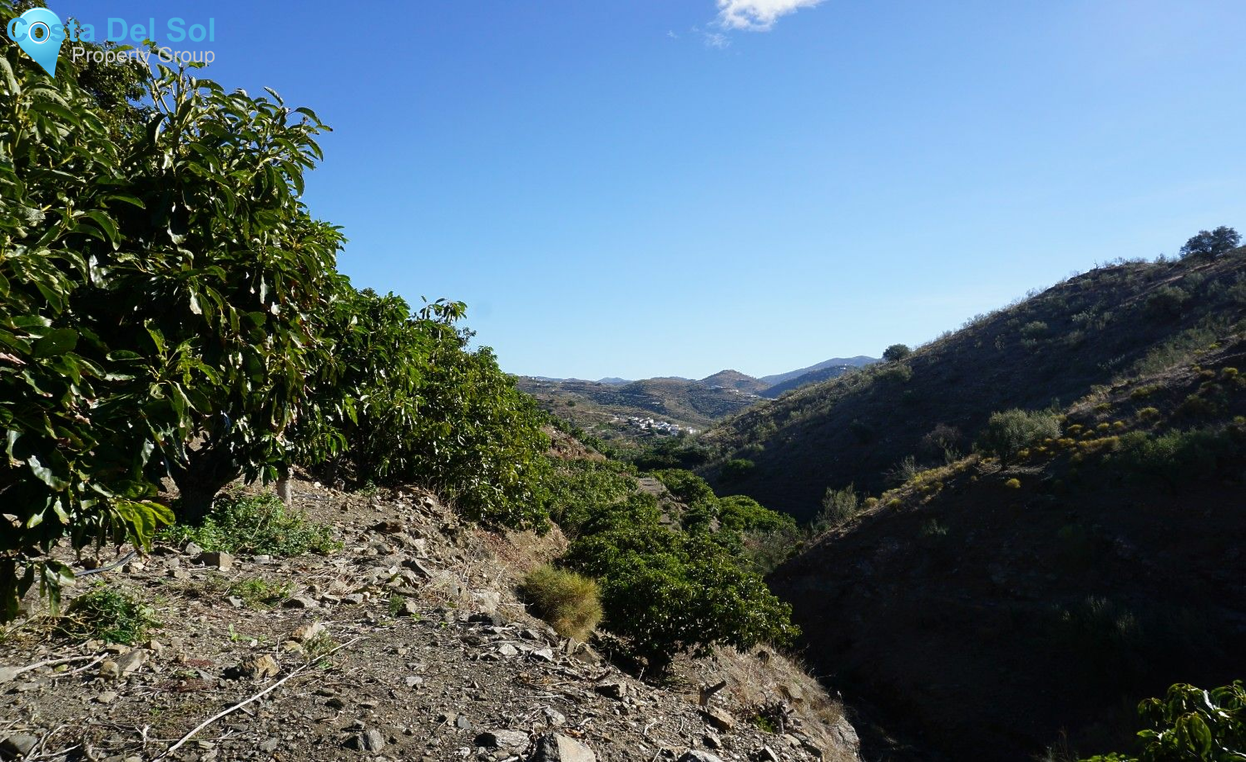Finca - Cortijo in La Viñuela-1224903