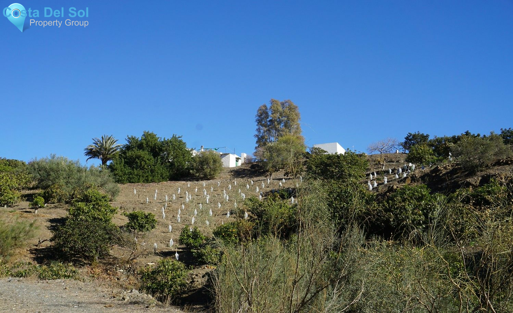 Finca - Cortijo in La Viñuela-1224893