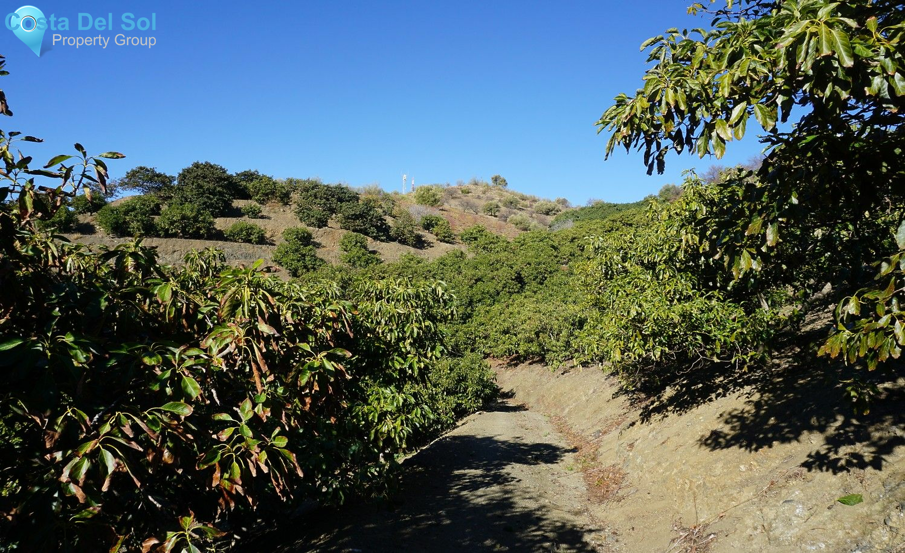 Finca - Cortijo in La Viñuela-1224894