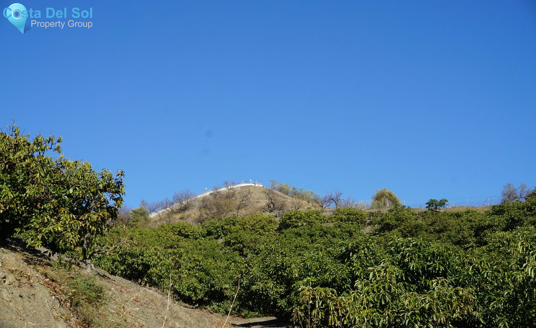 Finca - Cortijo in La Viñuela-1224895