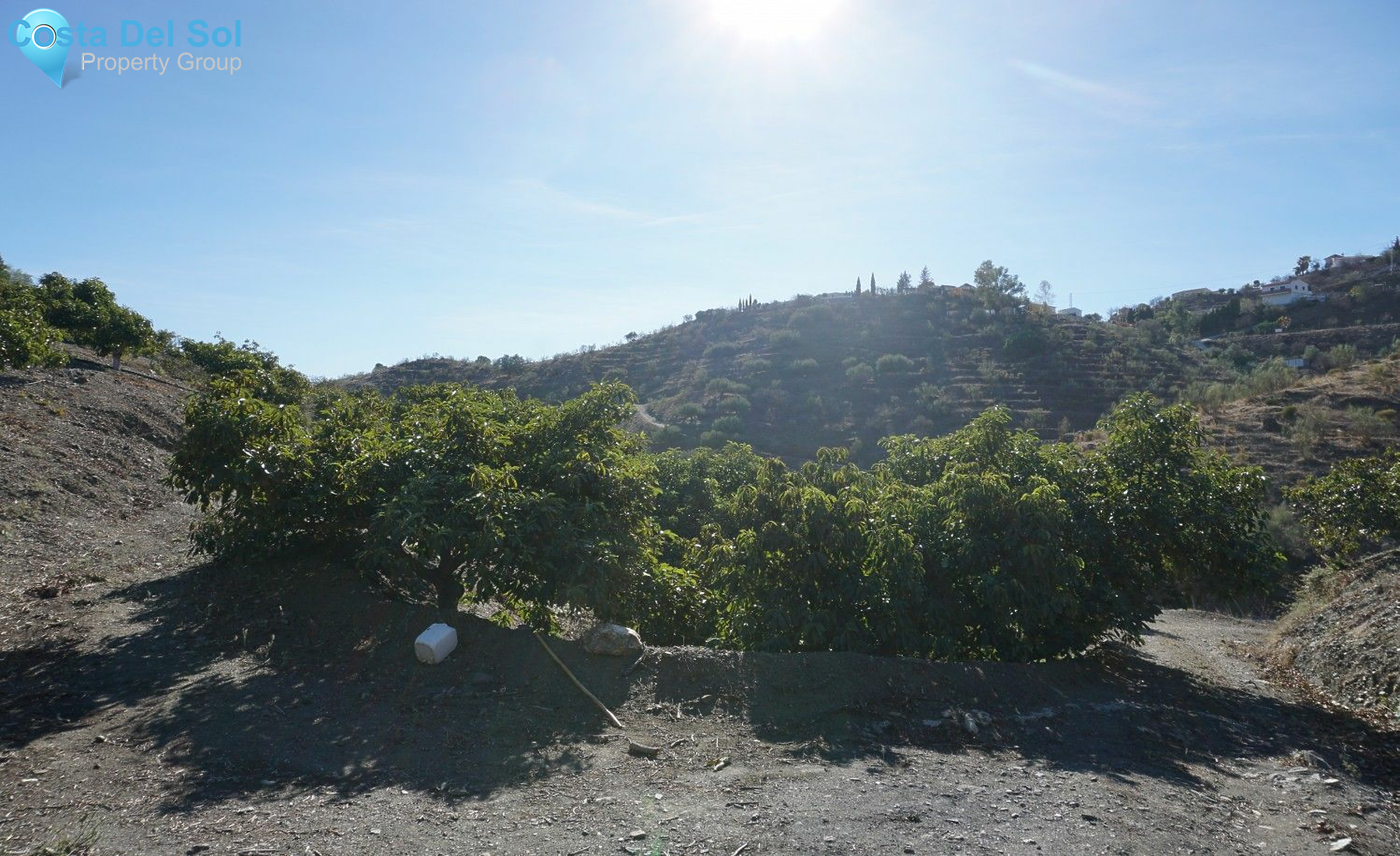 Finca - Cortijo in La Viñuela-1224896