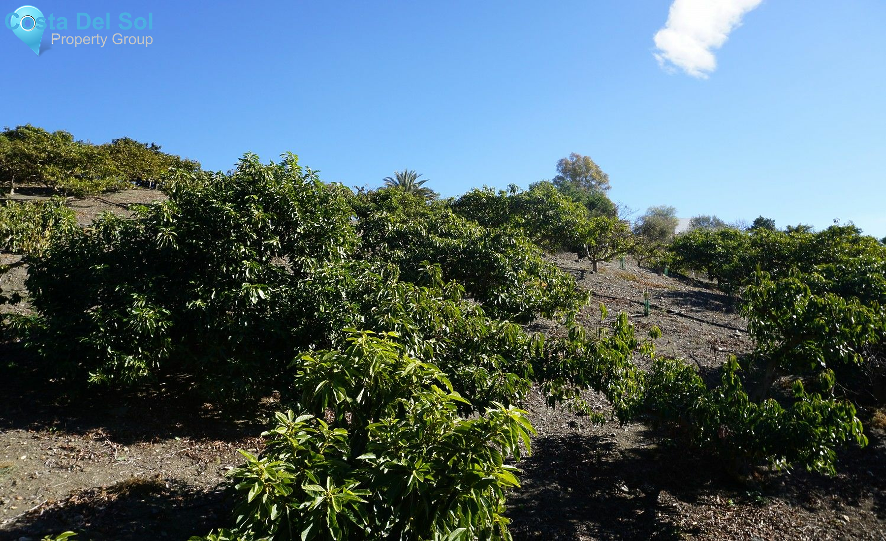 Finca - Cortijo in La Viñuela-1224897