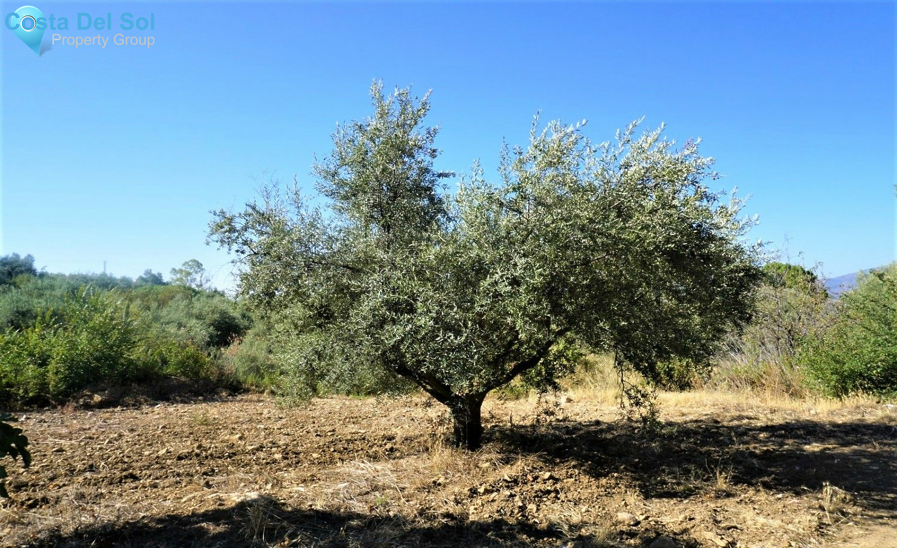 Semi-Detached House in Periana-1400728