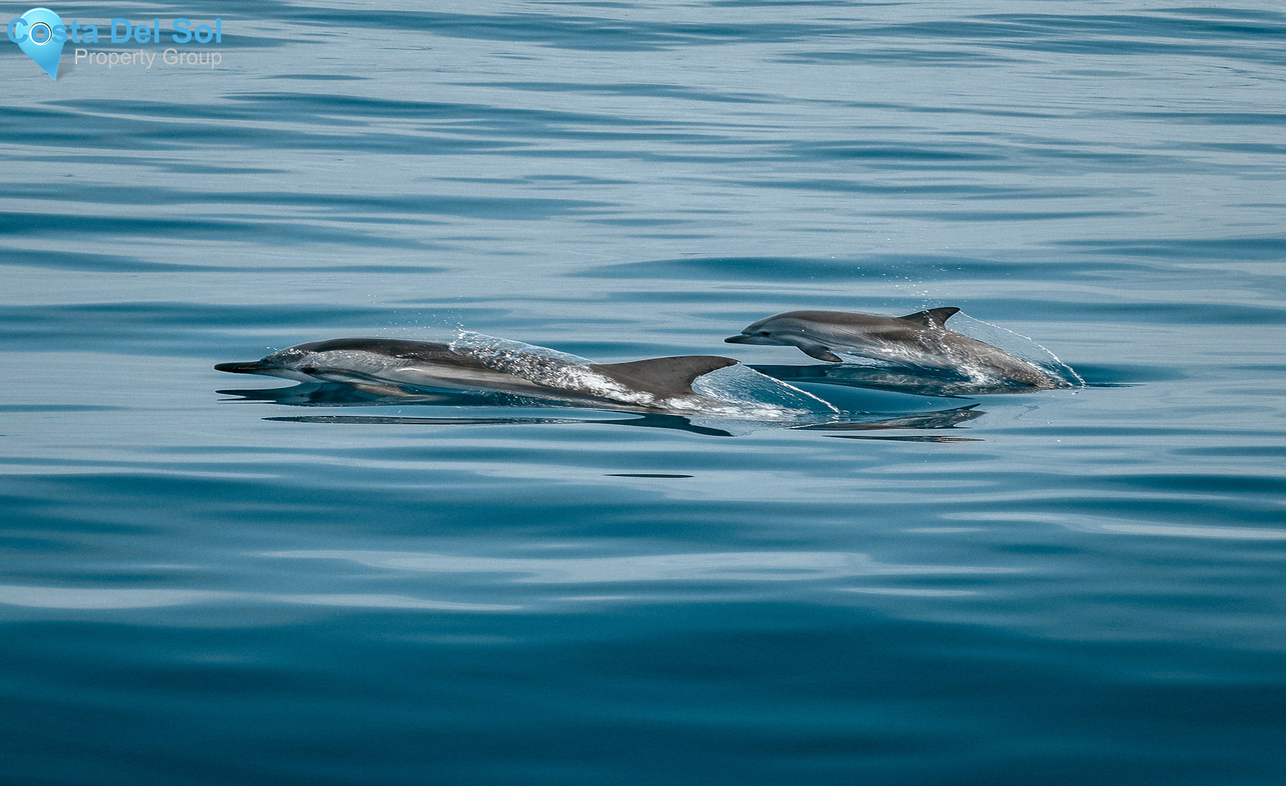 Townhouse in Cancelada-1536923