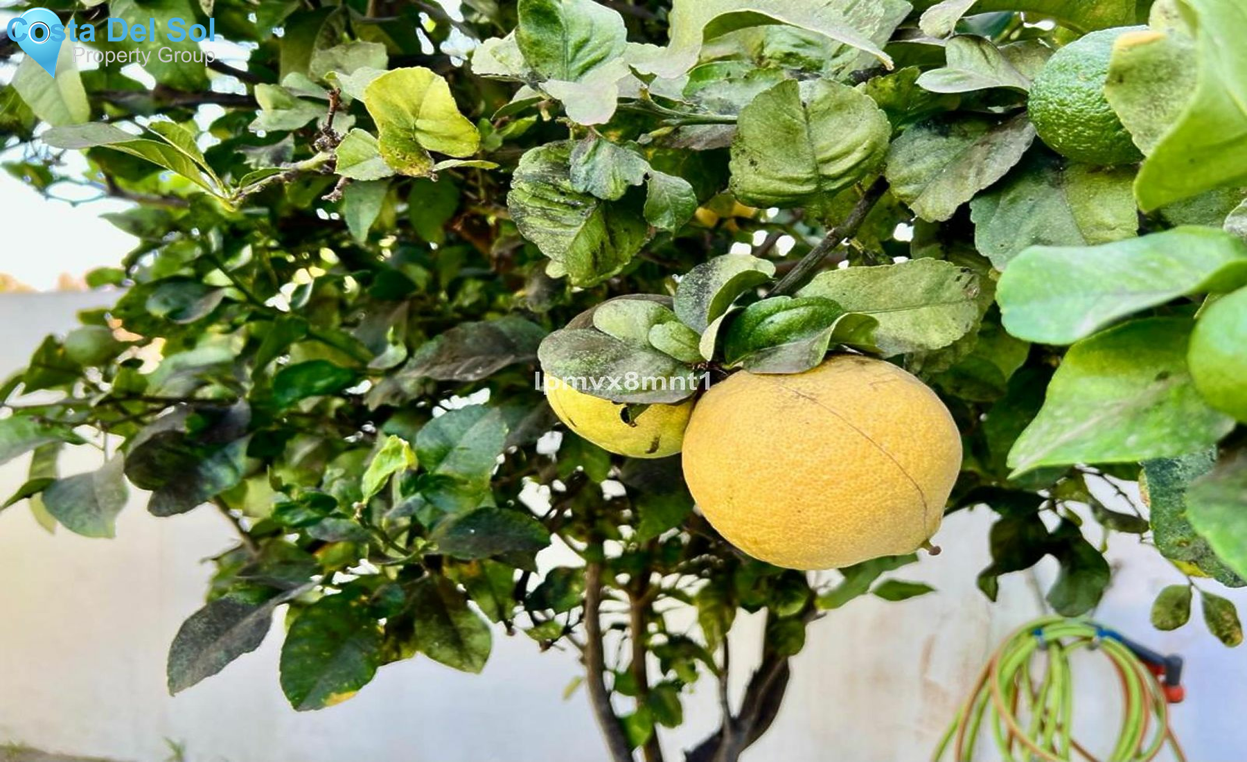 Townhouse in Elviria-1550580