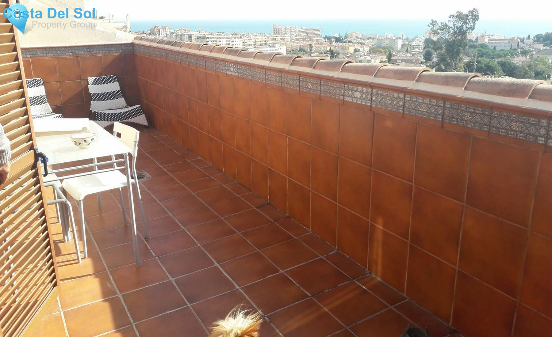 Business in Arroyo de la Miel-1229100