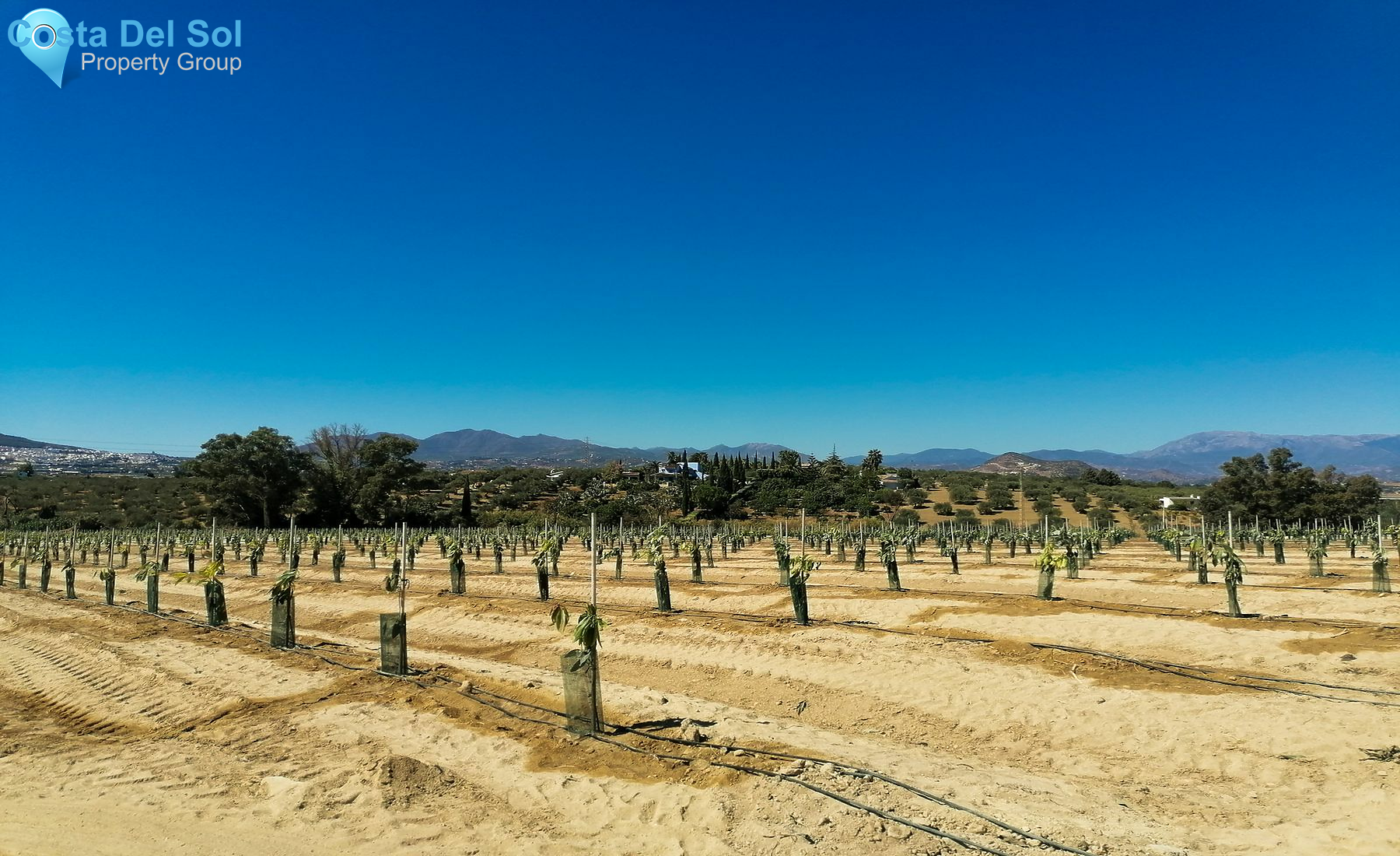 Detached Villa in Alhaurín el Grande-1423437