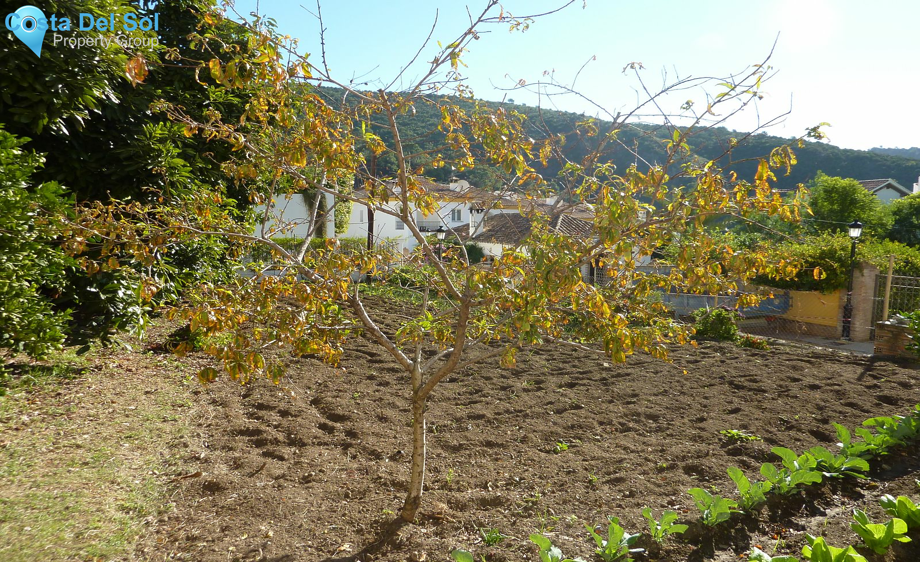 Detached Villa in Benahavís-1497773