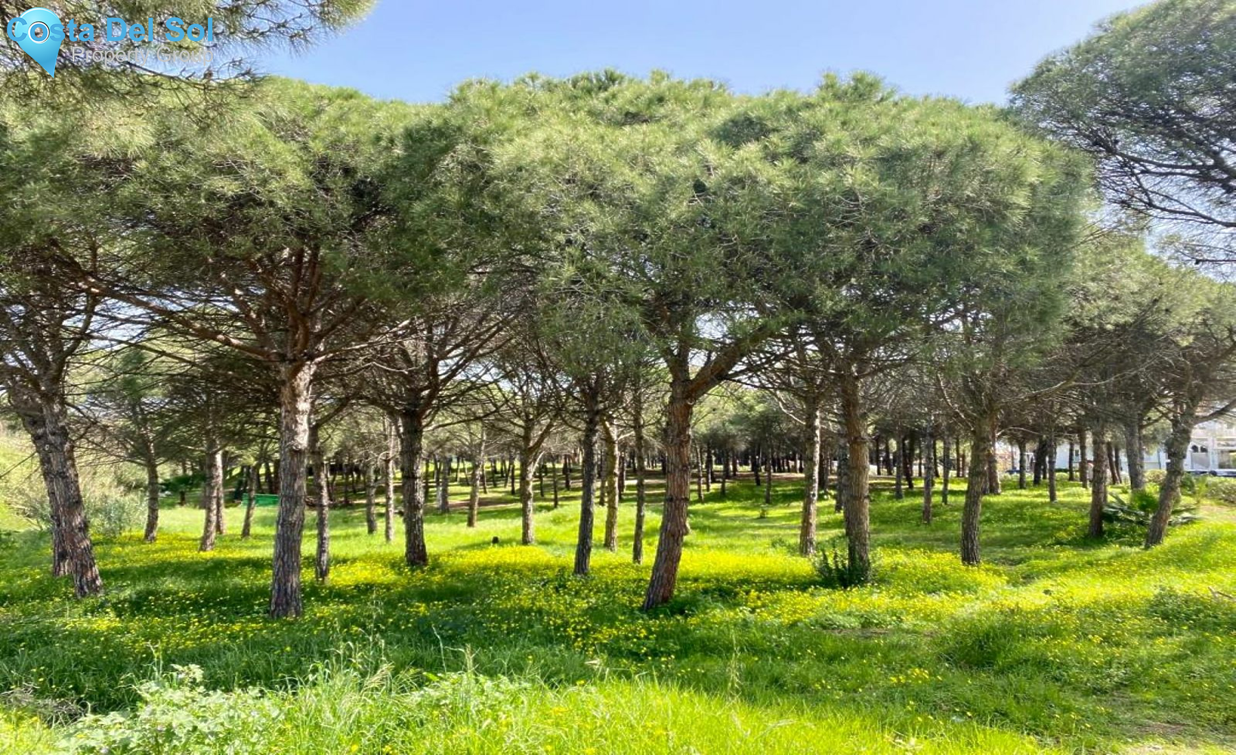 Detached Villa in Benamara-1394648