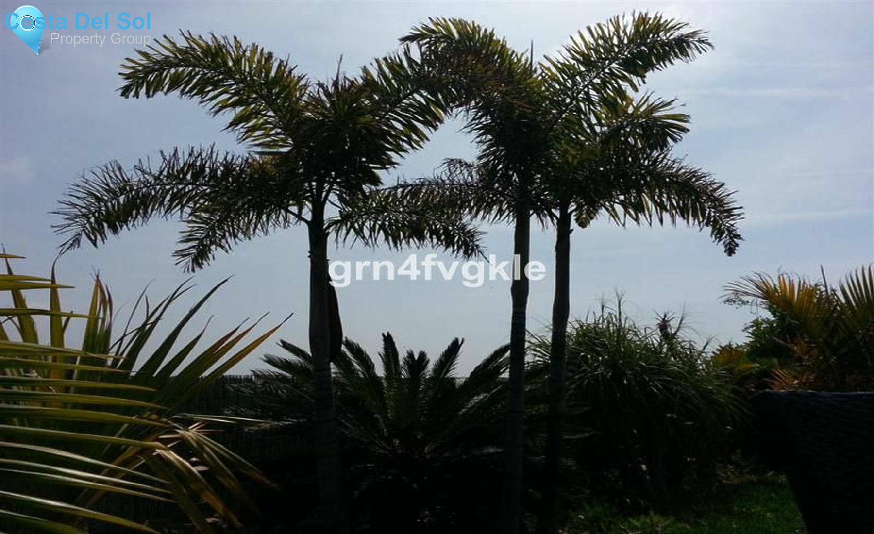 Detached Villa in Campo Mijas-1184200