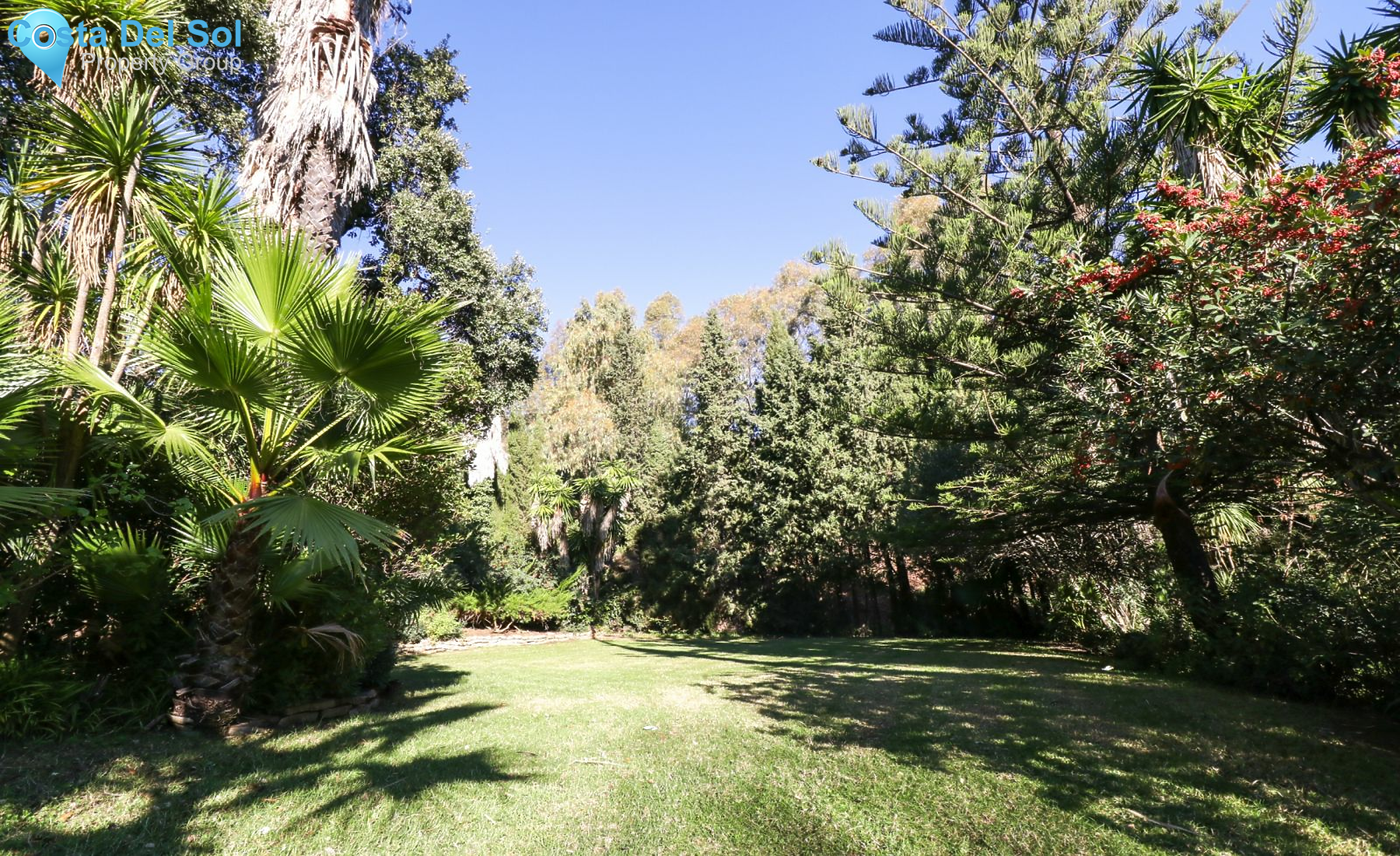 Detached Villa in Casares-1221727